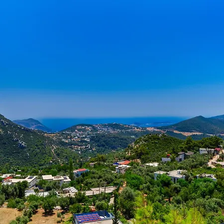 Safi Villa